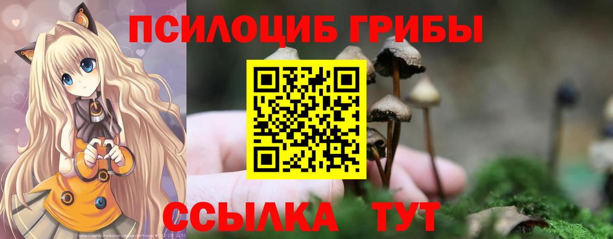 Псилоцибиновые грибы Psilocybe  Вход с VPN  Городец 